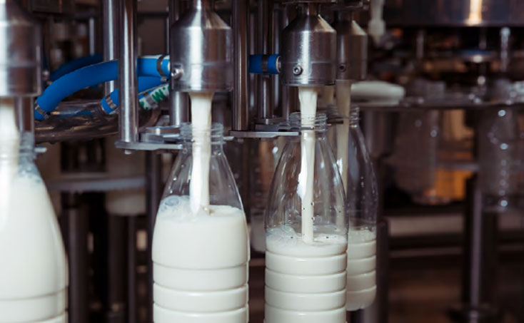 Reference brochure Dairy Industry